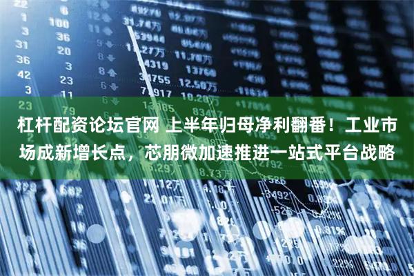 杠杆配资论坛官网 上半年归母净利翻番！工业市场成新增长点，芯朋微加速推进一站式平台战略